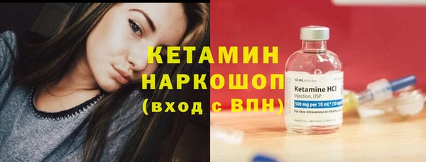 сатива Бородино