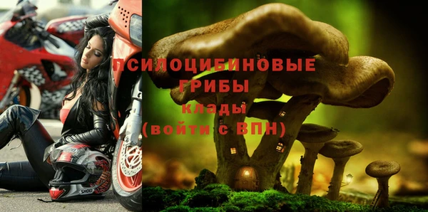 дмт Балахна